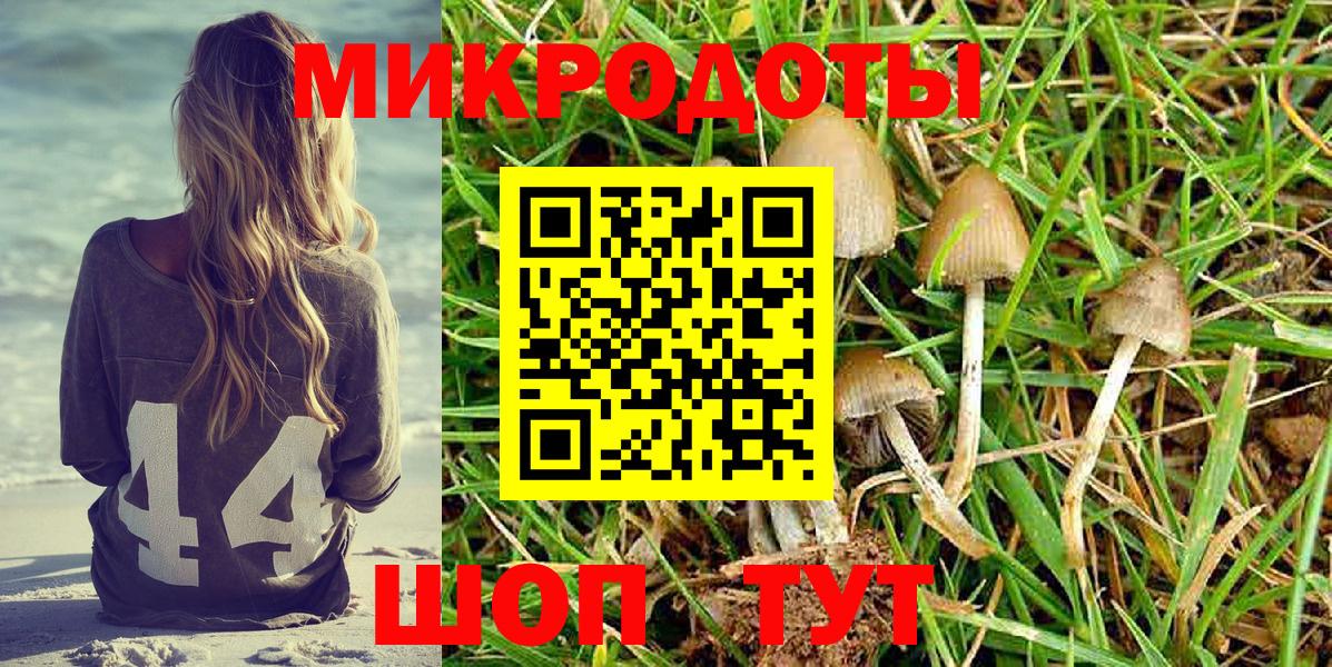 Керчь  закладка  Вход с VPN  Галлюциногенные грибы мицелий 