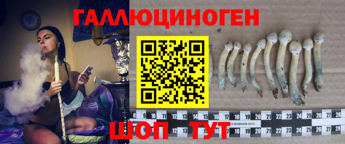 Галлюциногенные грибы мицелий Керчь